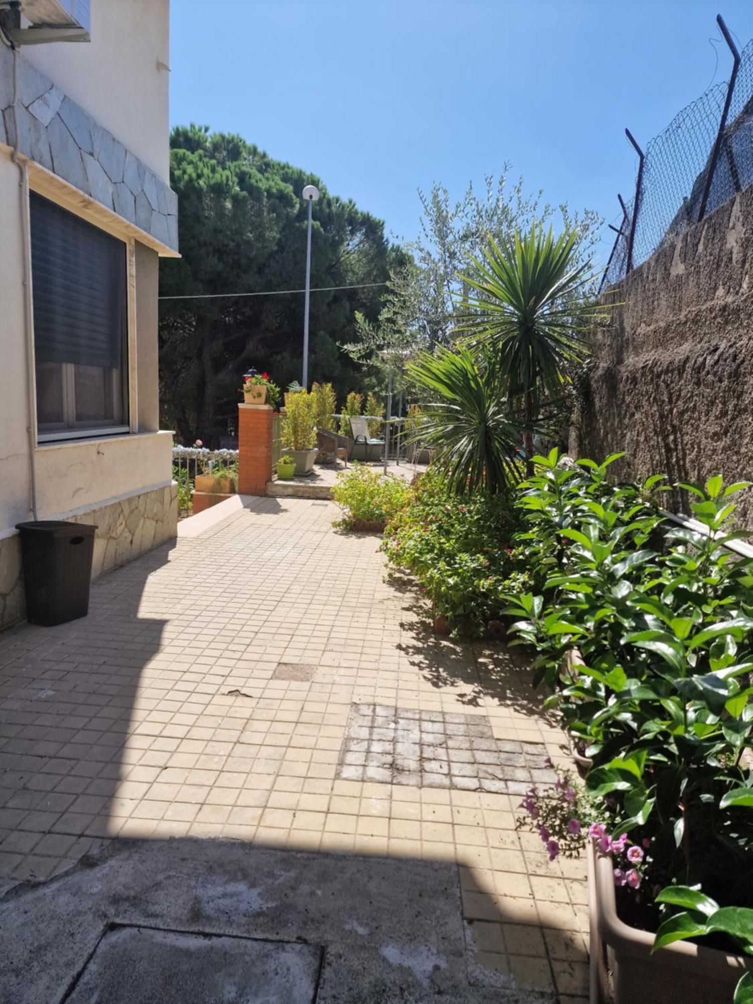Althea Etna Garden Acomodação com café da manhã Nicolosi Exterior foto